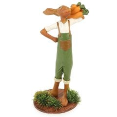 Havuç Taşıyan Bahçıvan Tavşan