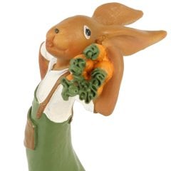 Havuç Taşıyan Bahçıvan Tavşan